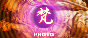 pro_ban